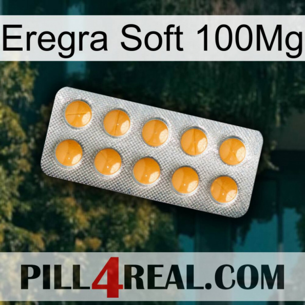 Eregra Soft 100Mg levitra1.jpg